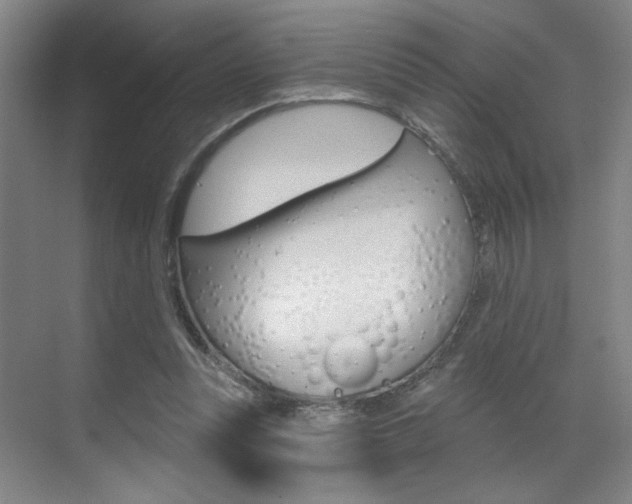 X0000070860351200606161016