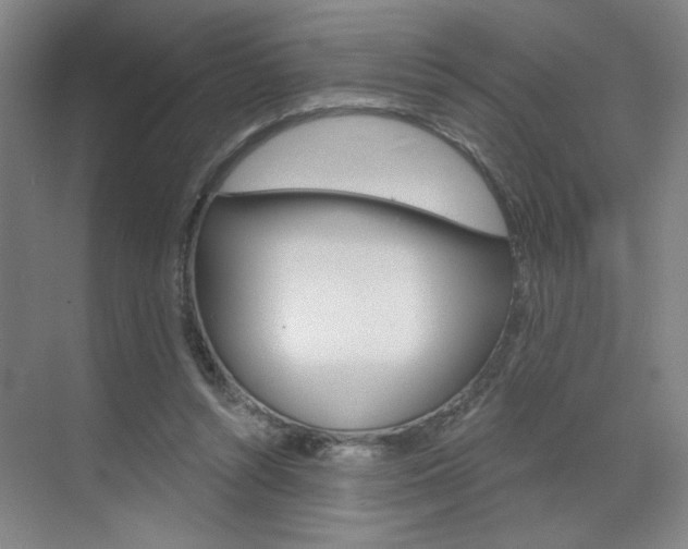 X0000070860352200606161016