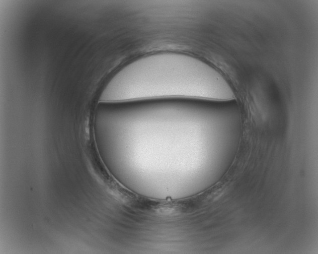 X0000070860358200606161016