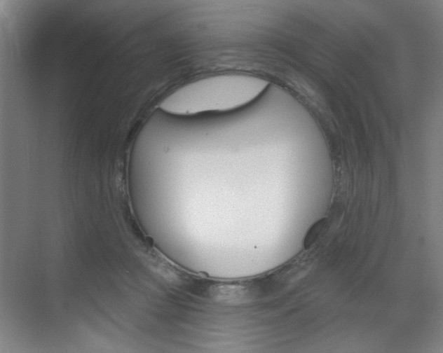 X0000070860361200606161016