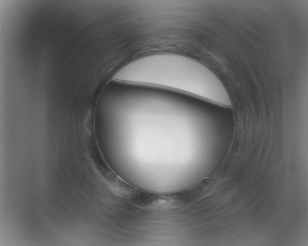 X0000070860364200606161016