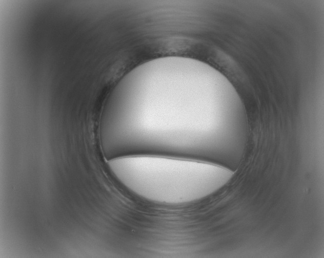 X0000070860366200606161016