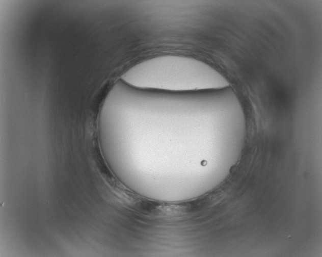 X0000070860367200606161017