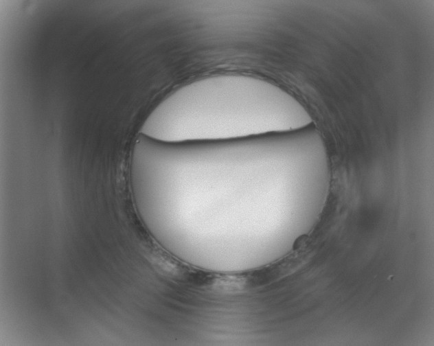 X0000070860369200606161017