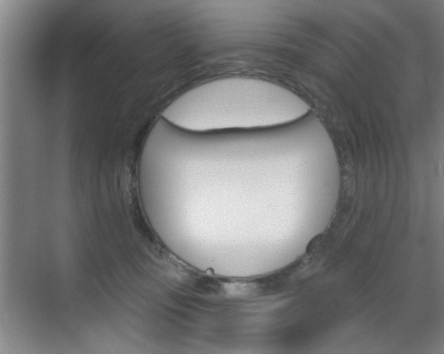 X0000070860371200606161017