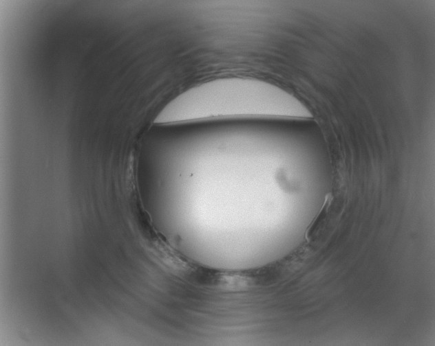 X0000070860376200606161017