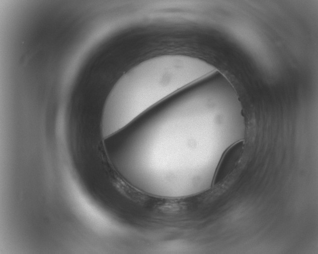 X0000070860383200606161017