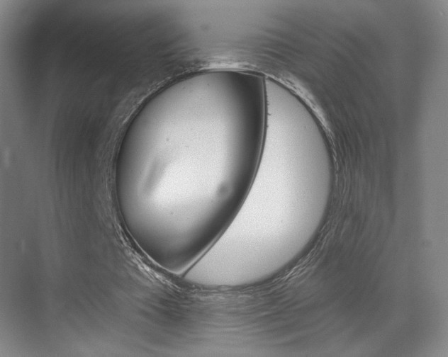 X0000070860385200606161016