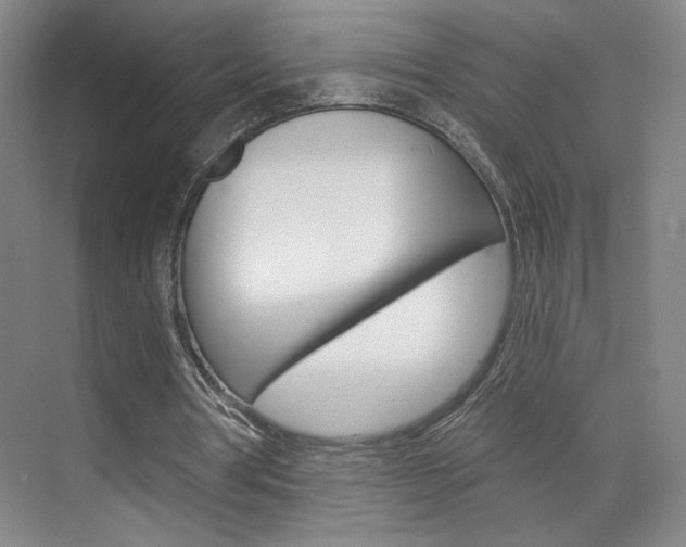X0000070860386200606161016