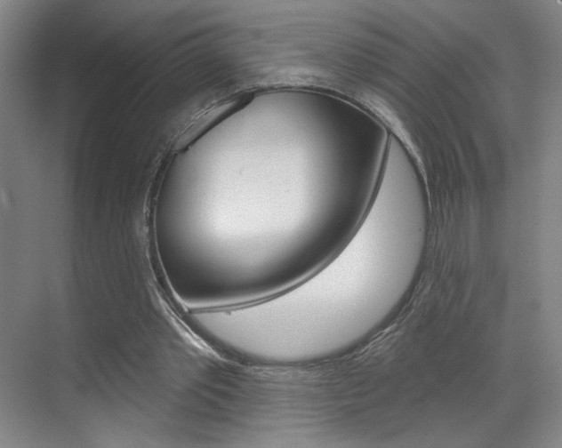 X0000070860389200606161016
