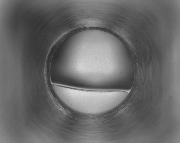 X0000070860391200606161016