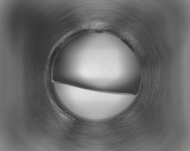X0000070860392200606161016