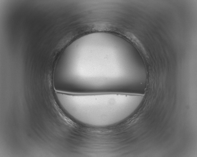 X0000070860393200606161016