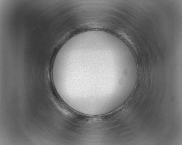 X0000070860398200606161016