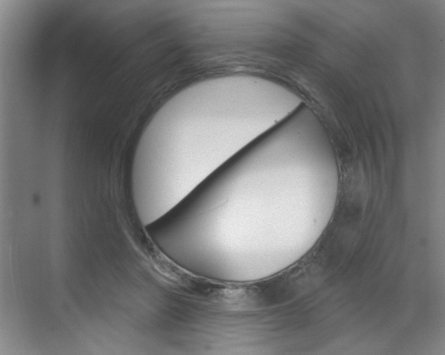 X0000070860406200606161016