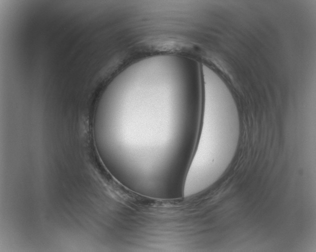X0000070860407200606161016