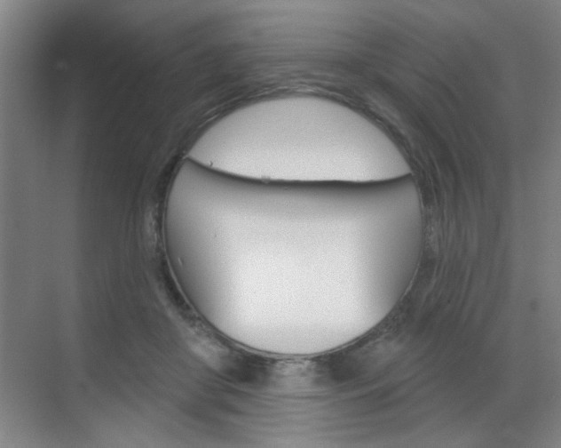X0000070860410200606161016