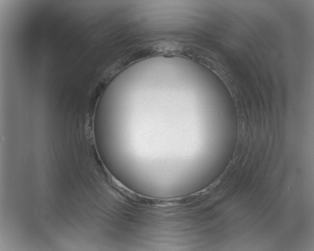 X0000070860411200606161016