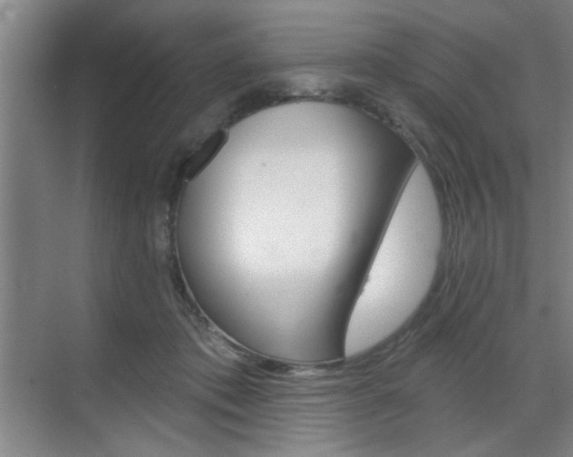 X0000070860413200606161016