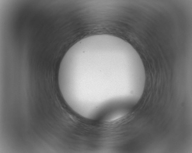 X0000070860416200606161015