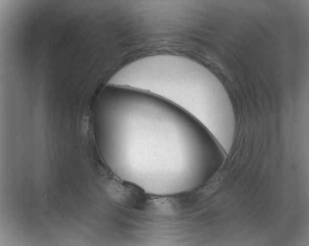 X0000070860417200606161015