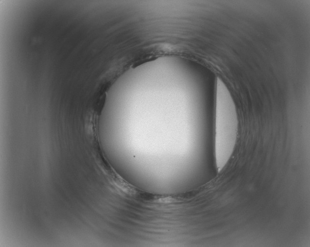 X0000070860423200606161015