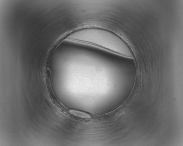 X0000070860434200606161014