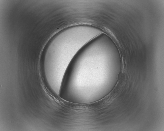 X0000070860435200606161014