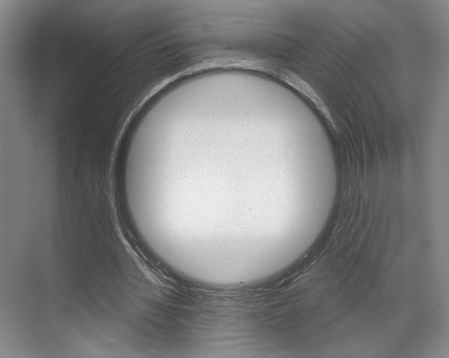 X0000070860436200606161014