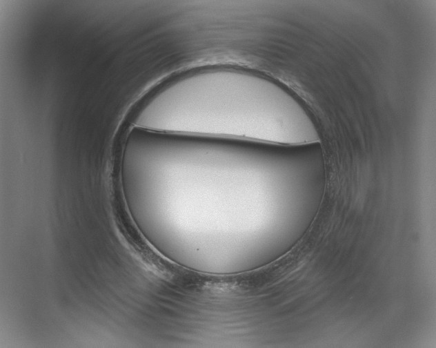 X0000070860440200606161015