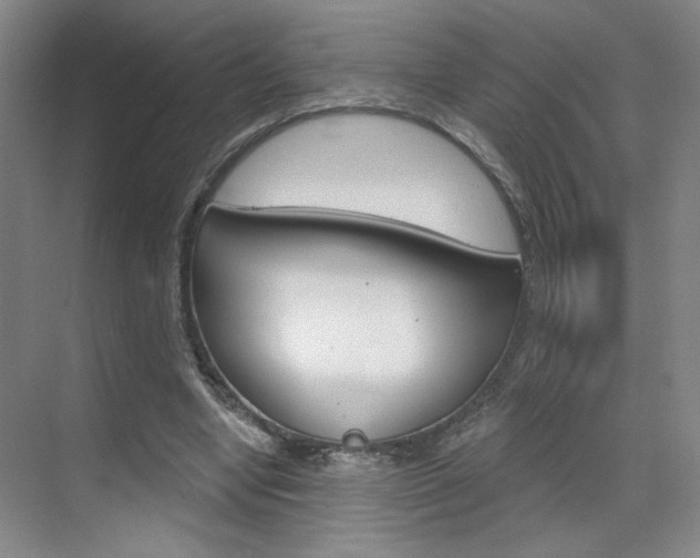X0000070860442200606161015