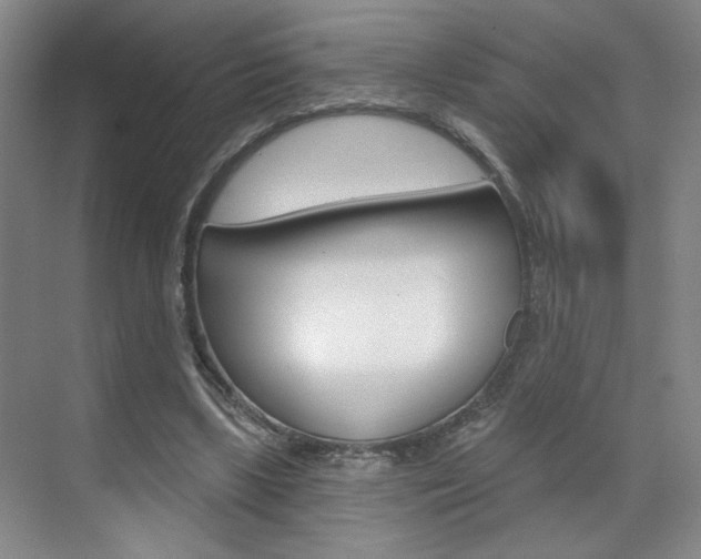 X0000070860443200606161015