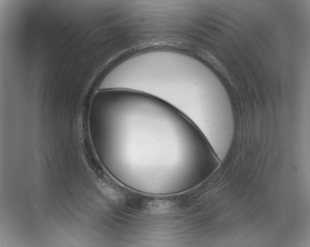 X0000070860444200606161015