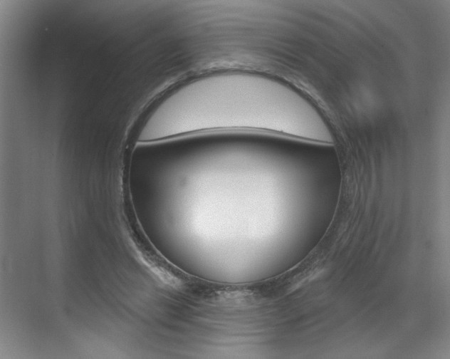 X0000070860446200606161015