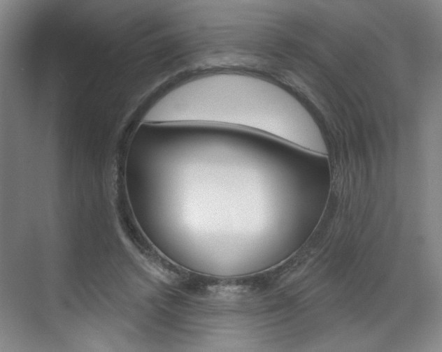 X0000070860448200606161015
