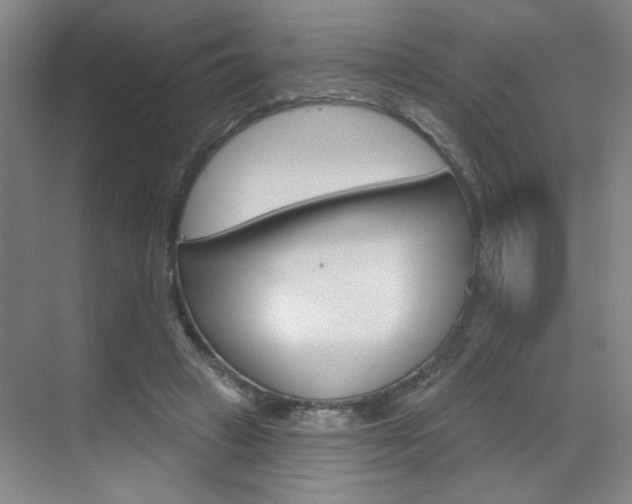 X0000070860449200606161015