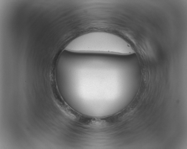 X0000070860455200606161015