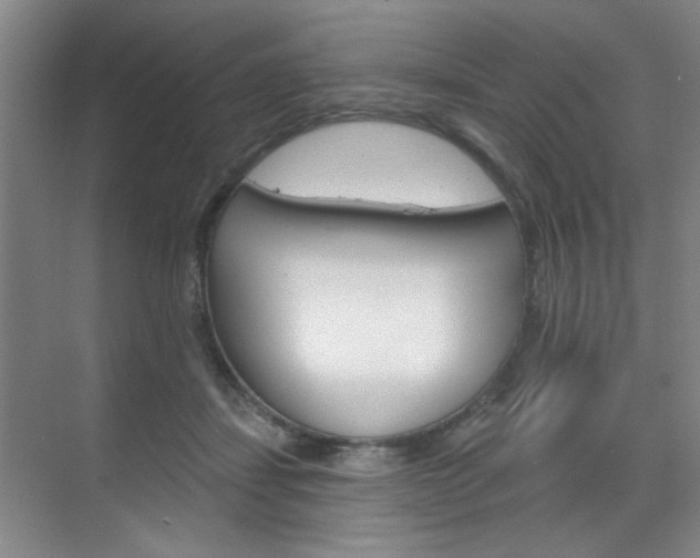 X0000070860459200606161015
