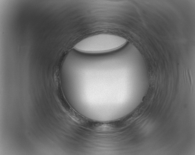 X0000070860460200606161015