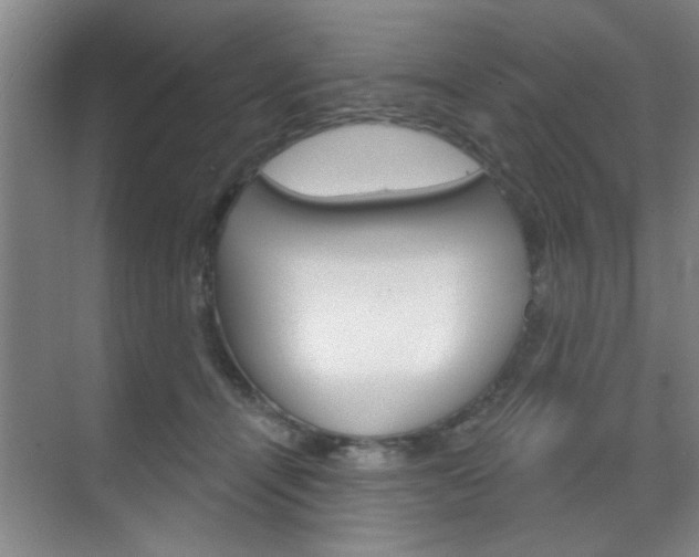 X0000070860464200606161015