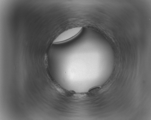 X0000070860480200606161015