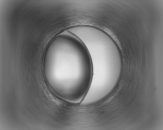 X0000070860481200606161014
