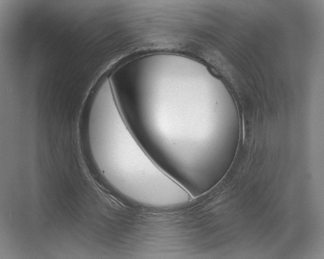 X0000070860483200606161014