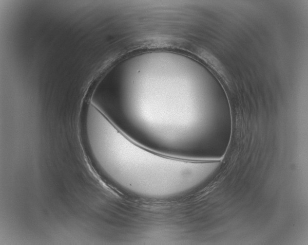 X0000070860485200606161014