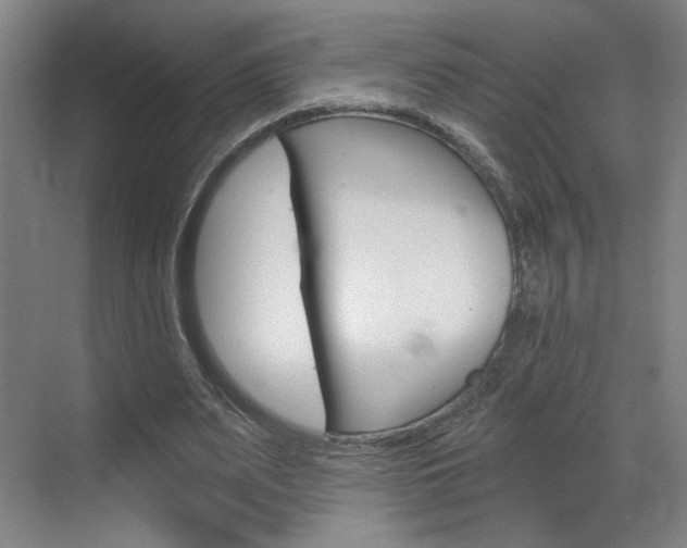 X0000070860487200606161014