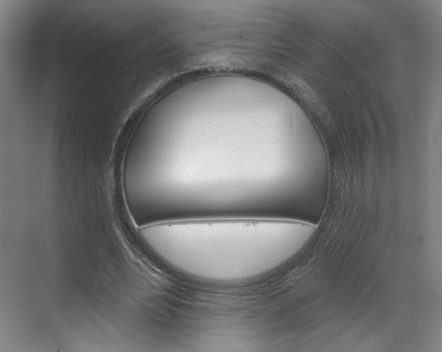 X0000070860488200606161014