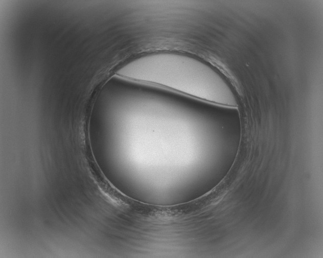 X0000070860489200606161014