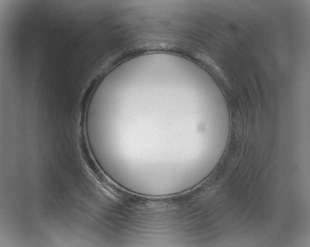 X0000070860490200606161014