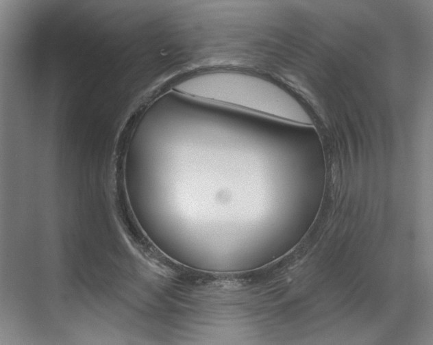 X0000070860492200606161014