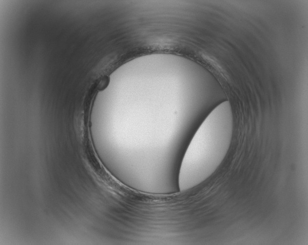 X0000070860494200606161014